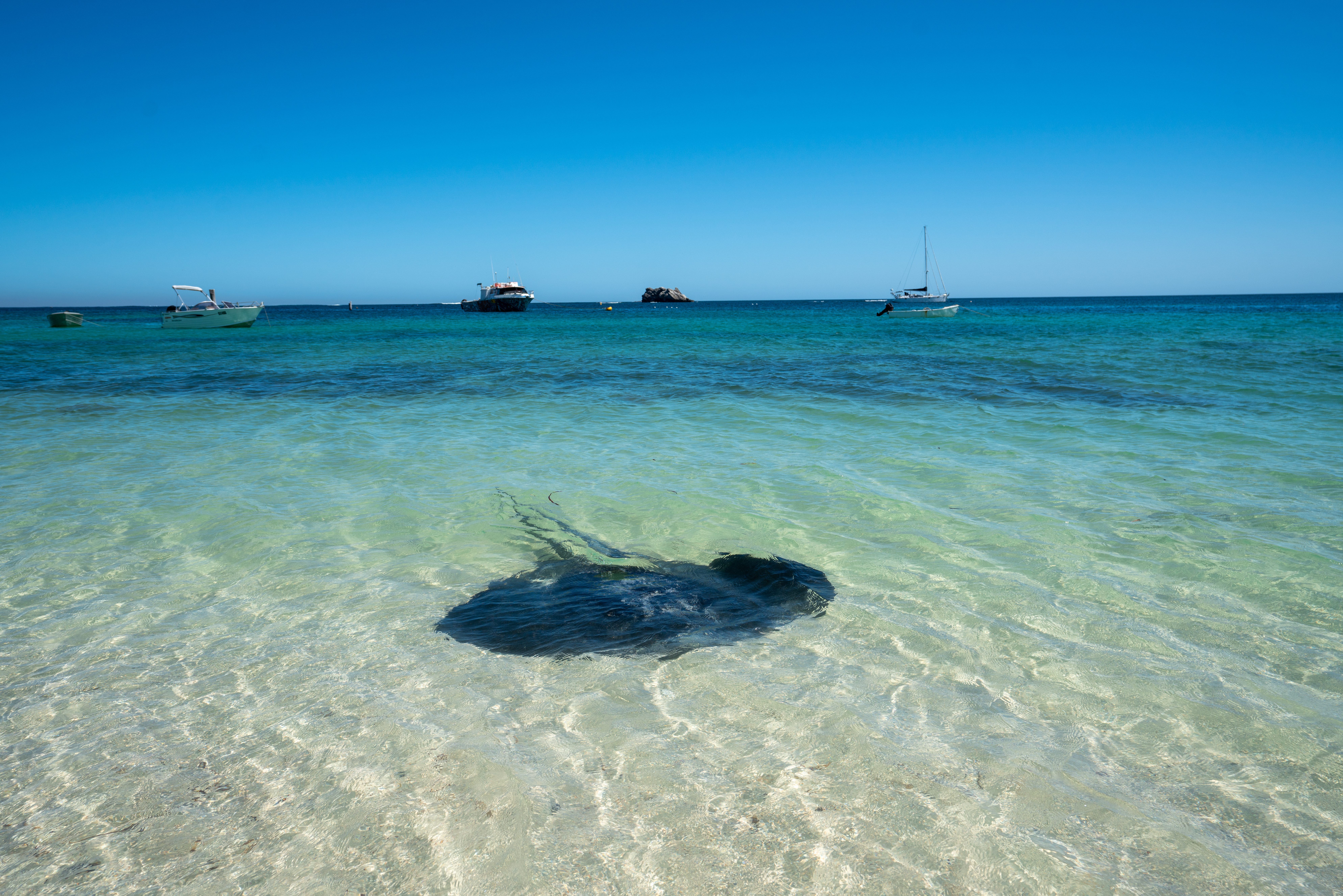 Hamelin Bay on the south-west coast of Western Australia